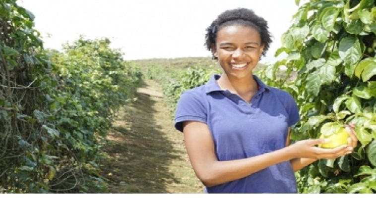 Valle fortalece proyectos que venden productos agrícolas a grandes superficies