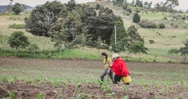 Gobierno adelantará Plan de Riego para impulsar la economía familiar campesina