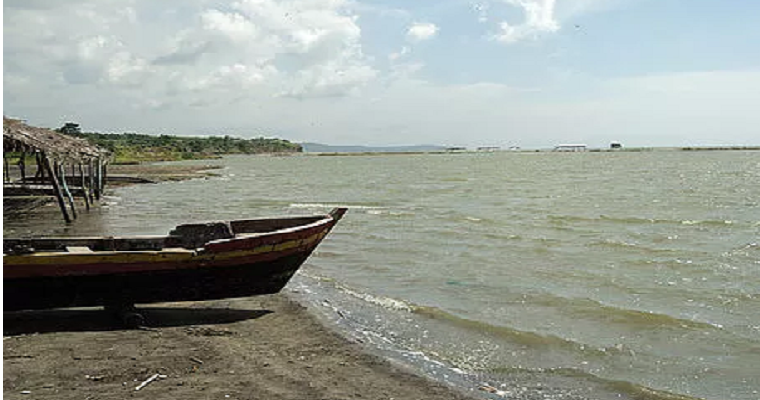 Modelo neuronal artificial estimaría contaminación de aguas marinas