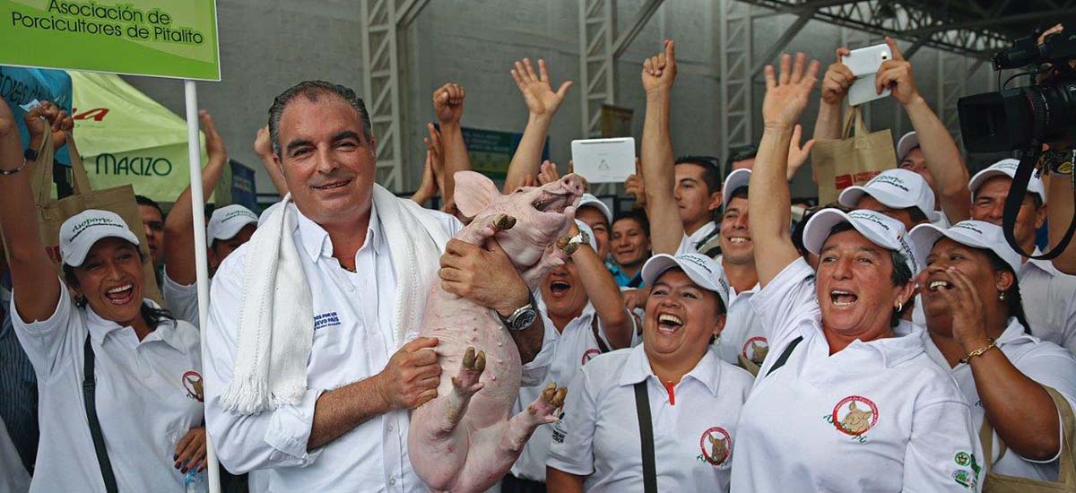 La OIE entregó a Colombia el certificado de la principal zona productora de cerdos como libre de PPC - 26 de mayo de 2017