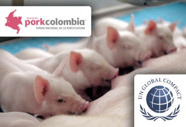 Porkcolombia se adhiere al Pacto Global de las Naciones Unidas
