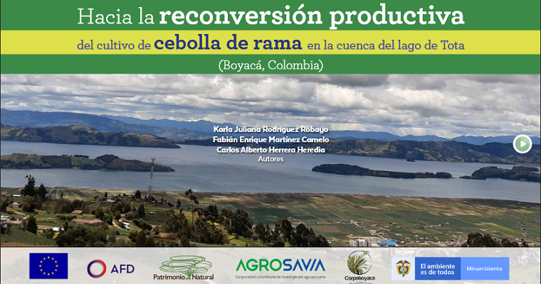AGROSAVIA comprometida con la reconversión productiva del cultivo de cebolla de rama en la cuenca del lago de Tota