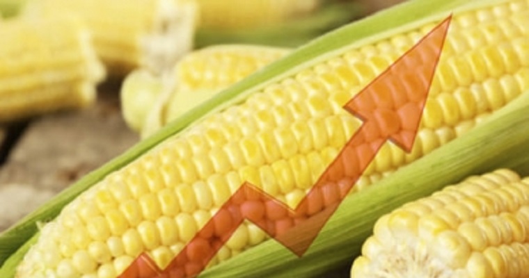 Precios internacionales del maíz continuarán altos hasta 2023