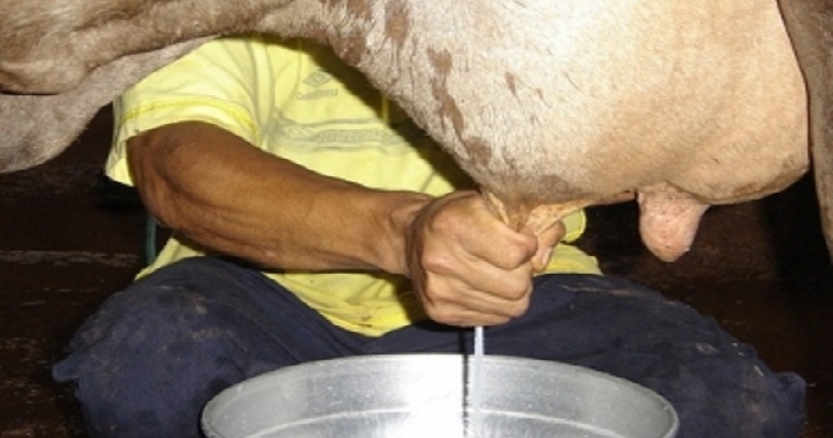 Espaldarazo del Gobierno a productores de leche