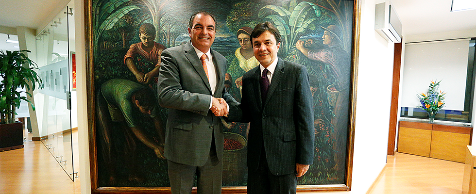 Premiado en Londres programa de renovación cafetera apoyado por MinAgricultura - 19 de Noviembre de 2015