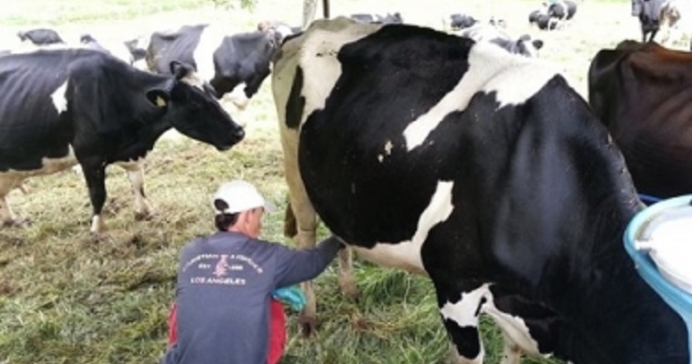 5 imperfecciones estructurales de la cadena láctea colombiana