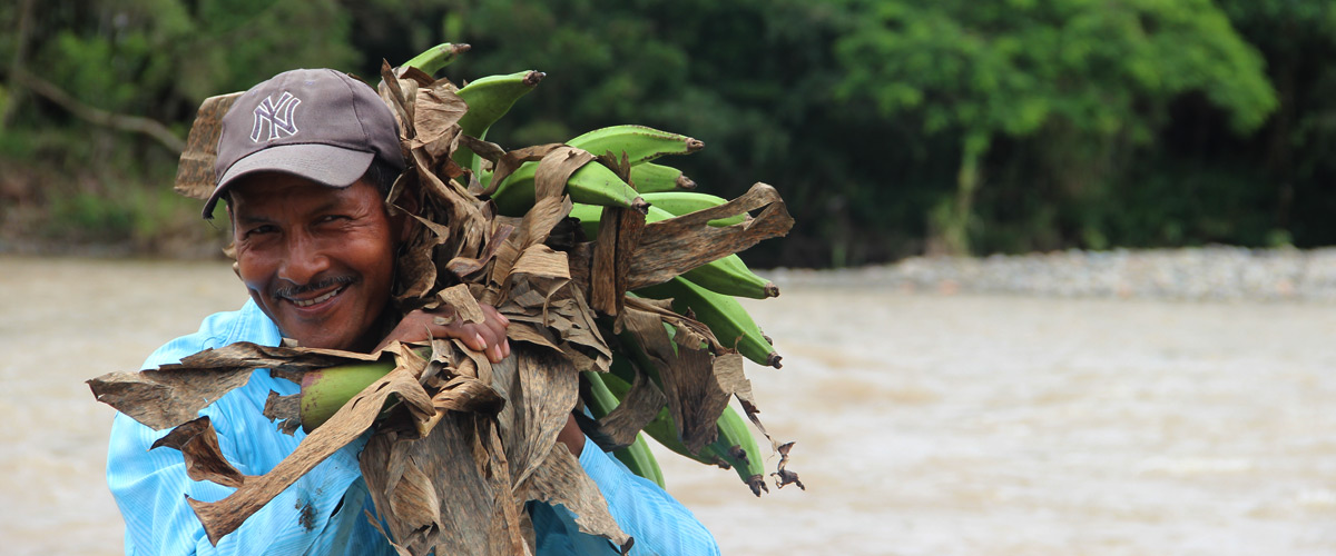Con visión exportadora, MinAgricultura apoya a más de 8 mil familias campesinas para fortalecer su productividad - 05 de octubre de 2016