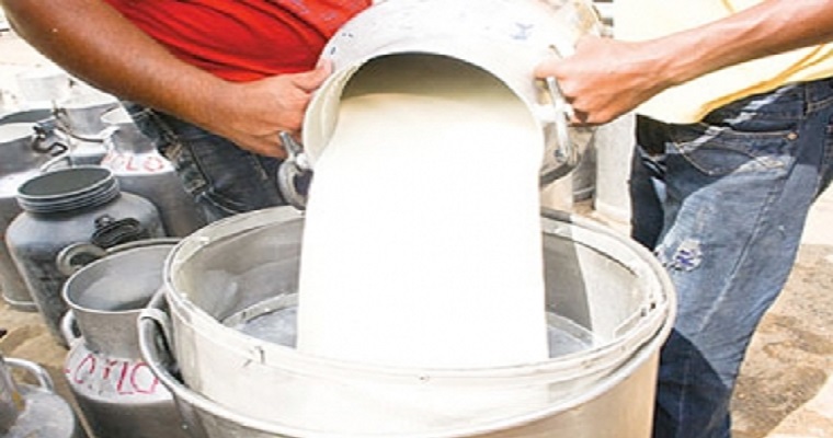 Durante junio aumentó recolección de leche en Córdoba y Sucre