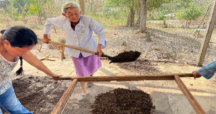 Investigadora de Turipaná desarrolló un protocolo de elaboración de abono orgánico vegetal