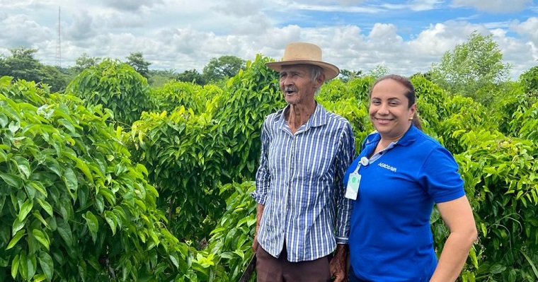 AGROSAVIA, IDIAP y la APC – COLOMBIA, una alianza interinstitucional para el beneficio del cultivo de ñame en el Caribe colombiano