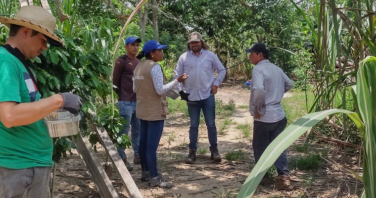 La ciencia agropecuaria al servicio de la paz y prosperidad en Guaviare: transformando caña de azúcar en oportunidades para población firmante de paz