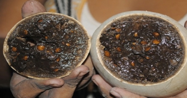 Pulpa de totumo ensilada en dos estados de maduración para bovinos