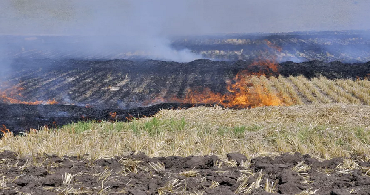 El peligro potencial que representan las quemas de áreas de cultivos y potreros