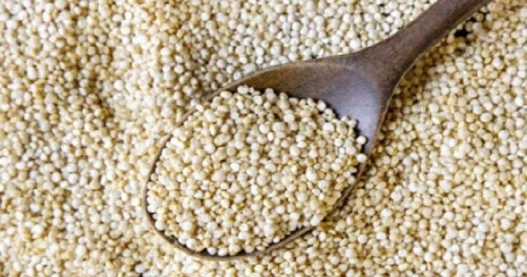 Se abre el mercado mexicano para la quinua colombiana