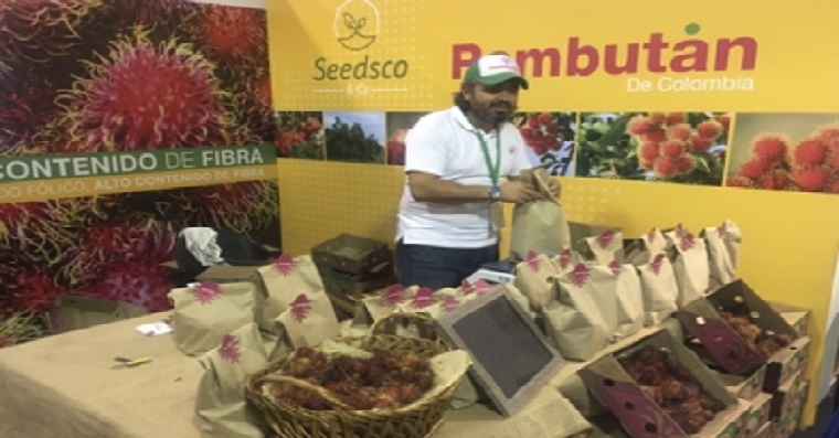 El rambután, una curiosidad que causó sensación en Agroexpo 2019
