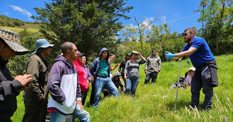 Desde el suelo hacia una mejor producción