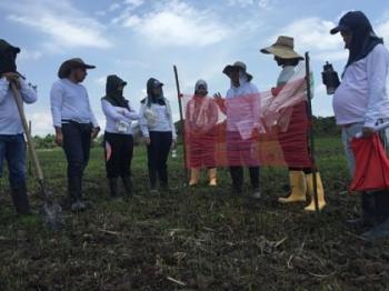 Agricultores de Casanare se capacitan en entomología - 07 de junio de 2017