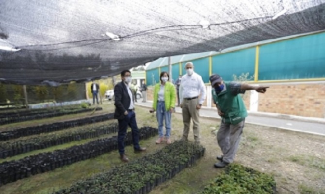 Boyacá trabaja por la reforestación de su territorio