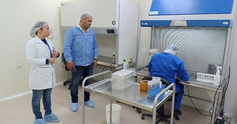 AGROSAVIA amplió el registro de sus laboratorios para la micropropagación de semilla seleccionada