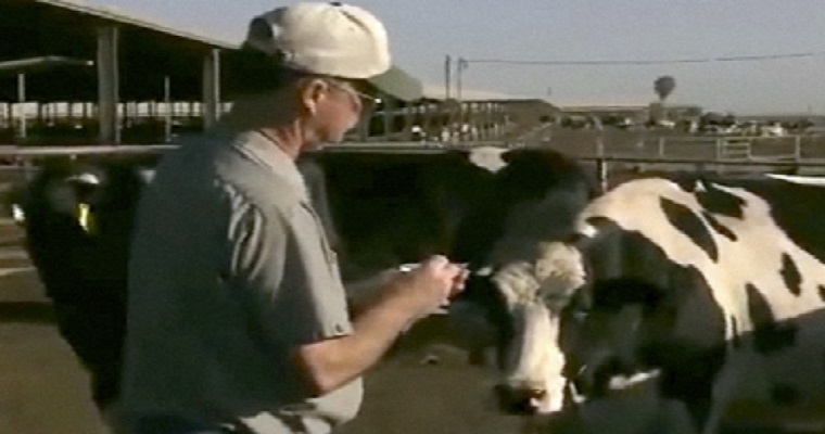 Ganaderos y profesionales deben capacitarse para analizar datos de la finca