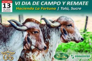 Todavía tiene tiempo para ir al VI Día de Campo y Remate de La Fortuna