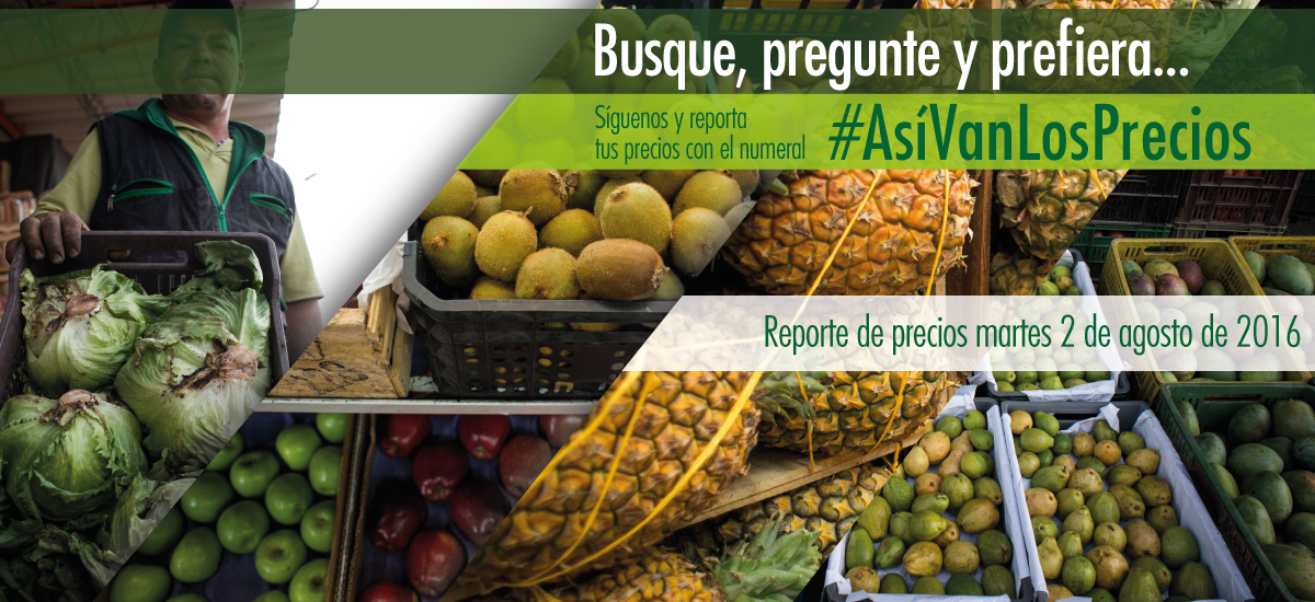 Abastecimiento positivo de alimentos en Corabastos para amas de casa y consumidores - 02 de agosto de 2016