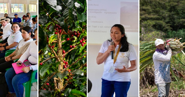 Togüí, un Paraíso Escondido para la producción agropecuaria