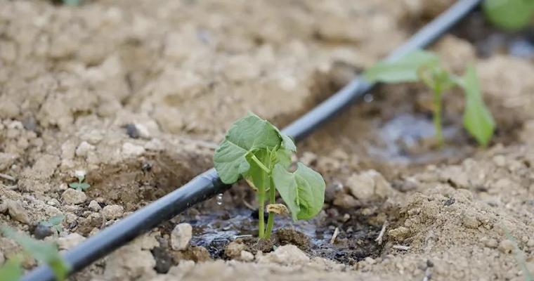 Cuál sería el sistema de riego ideal para afrontar la futura sequía en el campo