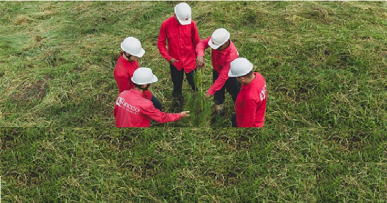 Cuál es la función energética de los órganos del cuerpo en la técnica del chikung?