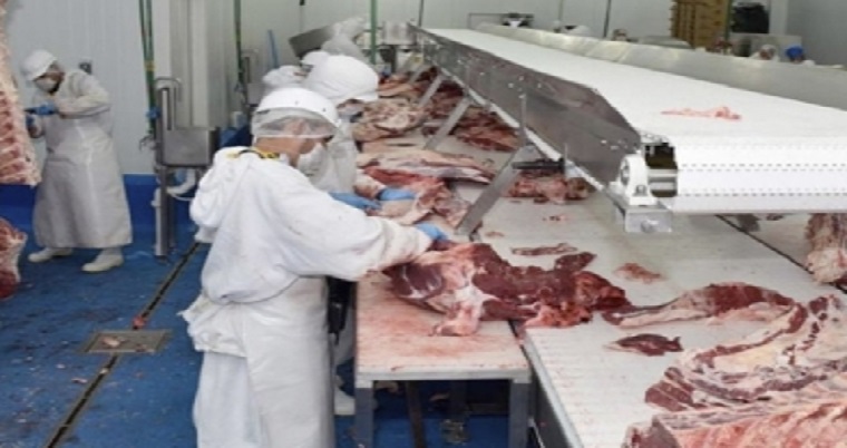 Sacrificio de porcinos, ovinos y caprinos superó récords en 3er trimestre de 2019