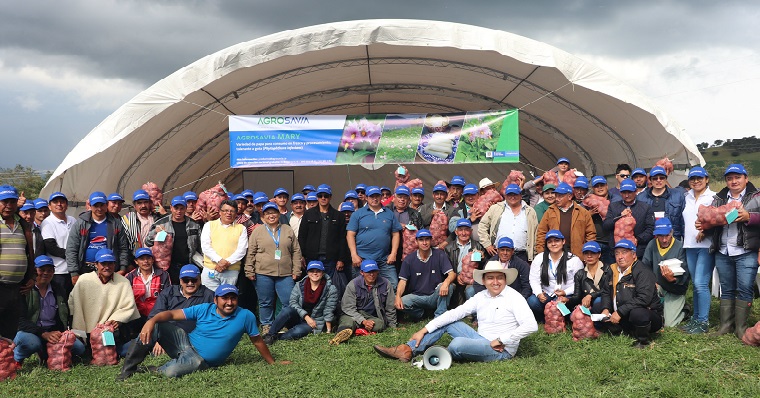 Se lanzó la variedad de papa AGROSAVIA Mary ante productores de Cundinamarca y Boyacá