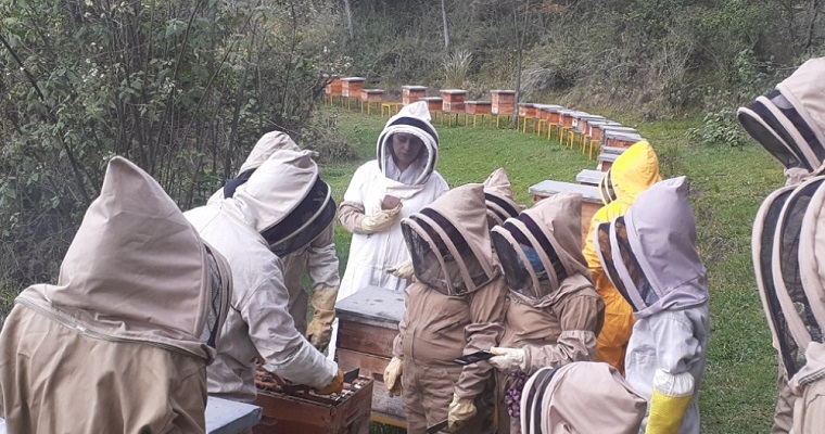 Apicultores colombianos se preparan para mejorar prácticas en el cuidado de las abejas