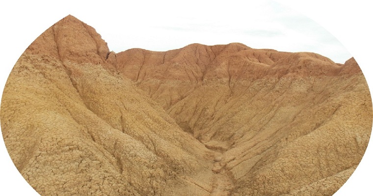 Otros factores que inciden en el comportamiento del suelo