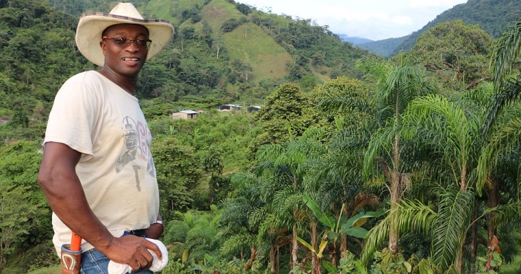 AGROSAVIA presentará avances en investigación en sistemas de producción de cítricos, aguacate, cacao y chontaduro para zonas productoras del país