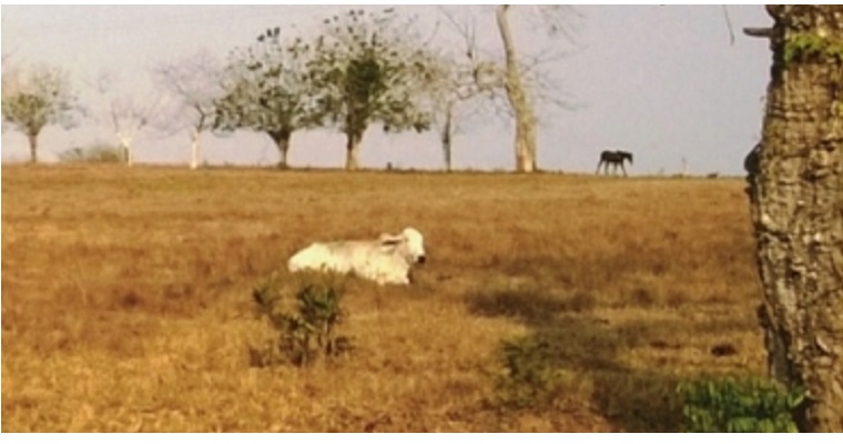 Temporada seca seguirá en el país a pesar de algunas lluvias: Ideam