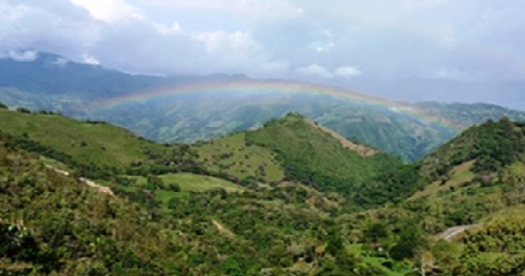 Lucha frontal contra el contrabando de semovientes bovinos