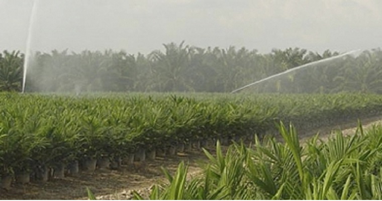 ¿Cómo está Colombia en materia de riego?