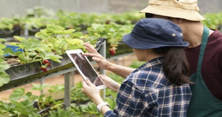 Así contribuyen las herramientas tecnológicas al desarrollo del agro 4.0