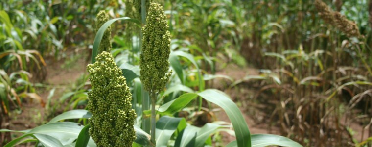 Es tiempo de sembrar - 25 de agosto de 2017