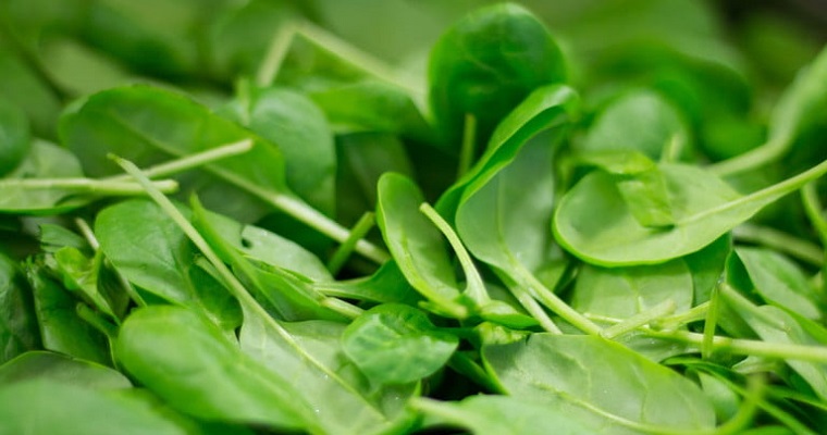 Las plantas también pueden enviar correos electrónicos