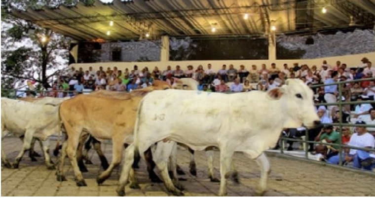 Piloto para que subastas expidan guías de movilización ha sido exitoso