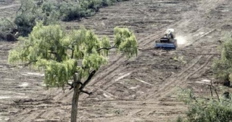 Estas son las amenazas que impulsan la degradación del suelo