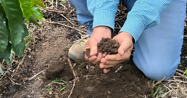 Día Mundial del Suelo, una fecha para tomar consciencia de su importancia en la vida diaria