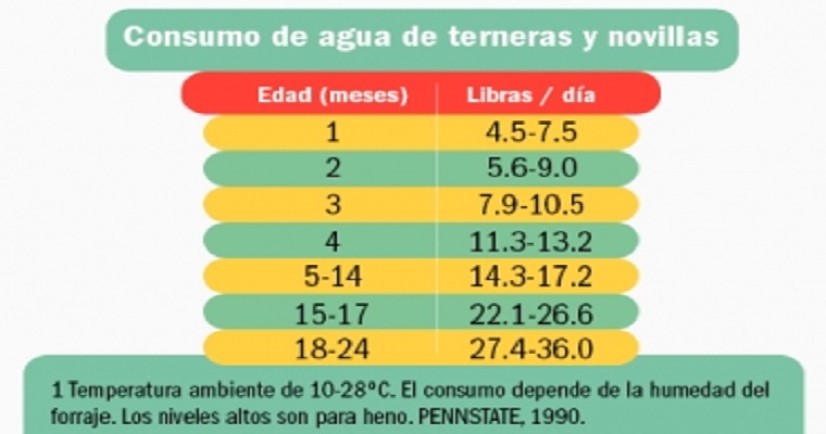 Agua: ‘si usted no se atreve a tomarla, no la de a las terneras’