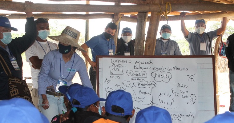 Con el apoyo de AGROSAVIA, los Wayuu comienza a proyectar arreglos silvopastoriles para disminuir las afectaciones por el pastoreo extensivo