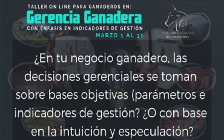 Aprenda de gerencia ganadera online