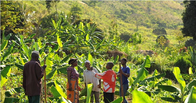 La financiación climática destinada a los sistemas agroalimentarios acusa una marcada tendencia al descenso