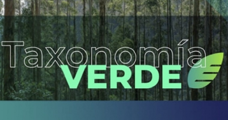 La ganadería bovina está entre los primeros sectores de taxonomía verde del gobierno