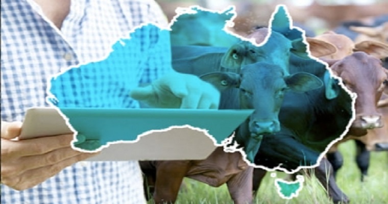 Conozca los desarrollos tecnológicos de Australia aplicables a la ganadería