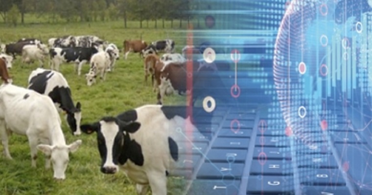 Sin tecnología, no hay sostenibilidad en ganadería